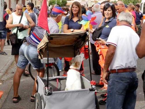 Oristano (OR) 31 08 2017 i tifosi aspettano invano l'inizio dell'amichevole tra il Cagliari  e il Tortolì . Ia partita non si giocherà perchè il campo non è agibile  . SILPRESS/ENRICOLOCCI